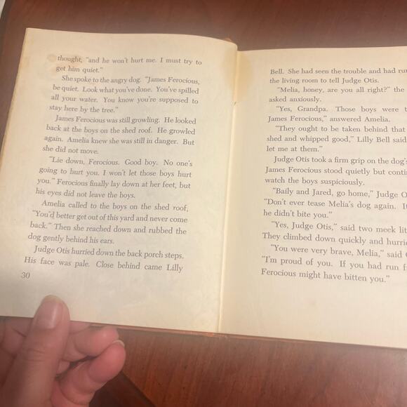 Amelia Earhart Kansas Girl By Jane Moore Howe Hardcover Women's in History - Picture 6 of 8